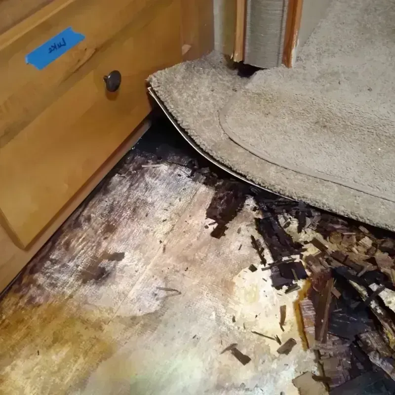 Wood Floor Water Damage in Waynesboro, GA